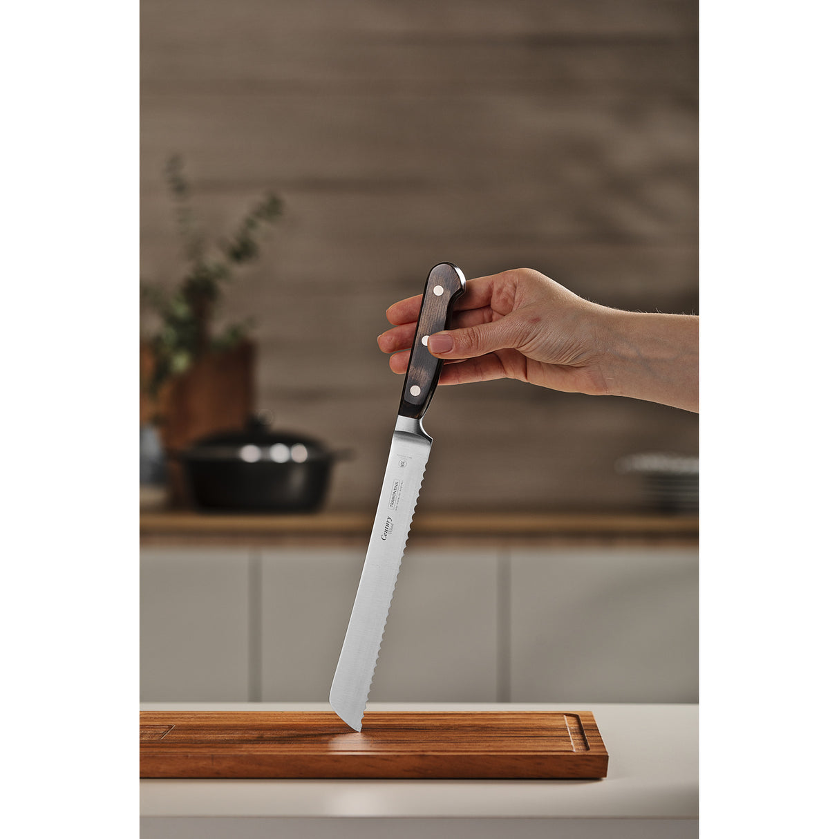 Century Wood Forged Bread Knife, 8"