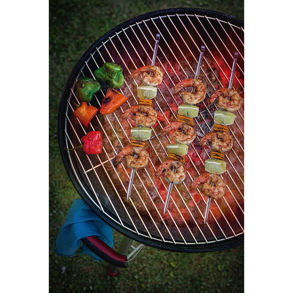 Churrasco 6-Piece Skewer Set
