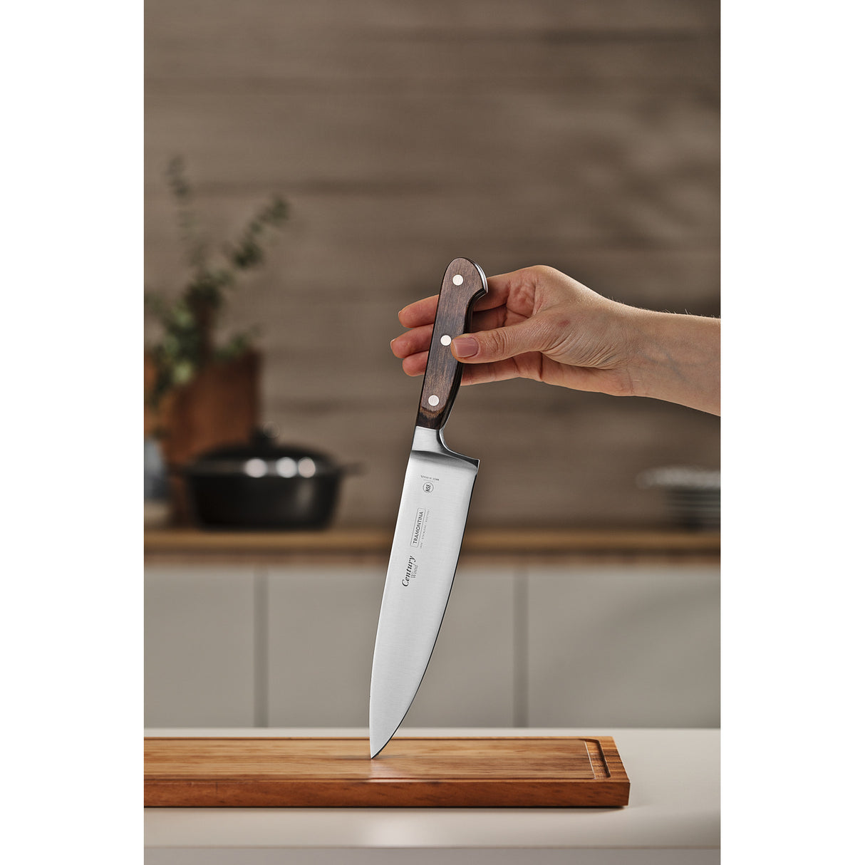 Century Wood Forged Chef's Knife, 8"