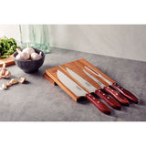 Churrasco Polywood 5-Piece Knife Block, Brown