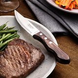 Churrasco Polywood 4-Piece Jumbo Steak Knife Set, Brown